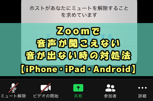 Zoomで音声が聞こえない 出ない時の対処法 Iphone Ipad Iphone Snsテクニック